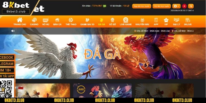 Đặc điểm nổi bật để đá gà tại nhà cái nhận được nhiều yêu thích