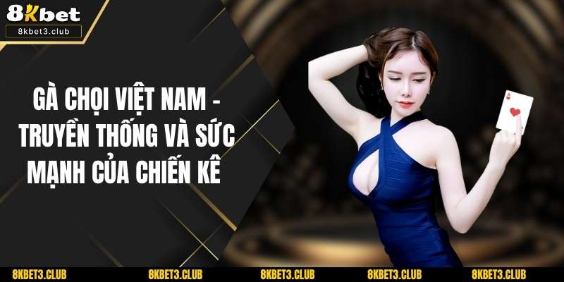 Gà chọi Việt Nam - Truyền Thống Và Sức Mạnh Của Chiến Kê 
