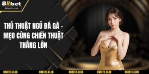 Thủ Thuật Ngủ Đá Gà - Mẹo Cùng Chiến Thuật Thắng Lớn