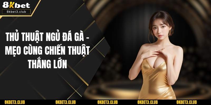 Thủ Thuật Ngủ Đá Gà - Mẹo Cùng Chiến Thuật Thắng Lớn