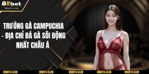 Trường Gà Campuchia -  Địa Chỉ Đá Gà Sôi Động Nhất Châu Á 