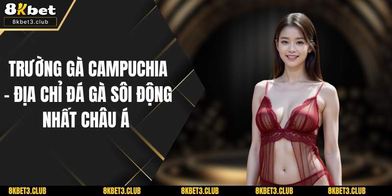 Trường Gà Campuchia -  Địa Chỉ Đá Gà Sôi Động Nhất Châu Á 